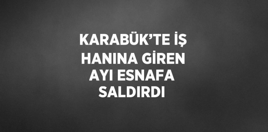 KARABÜK’TE İŞ HANINA GİREN AYI ESNAFA SALDIRDI