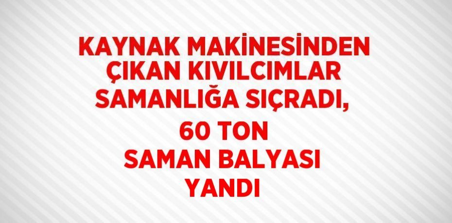 KAYNAK MAKİNESİNDEN ÇIKAN KIVILCIMLAR SAMANLIĞA SIÇRADI, 60 TON SAMAN BALYASI YANDI