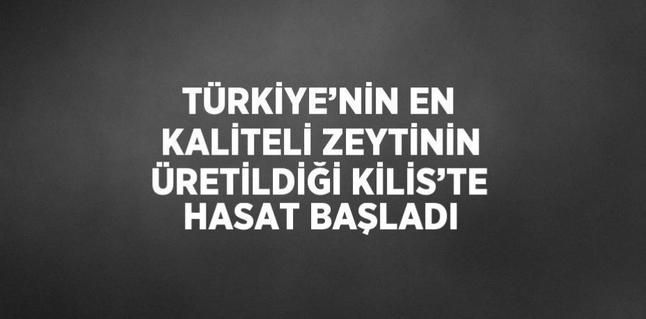 TÜRKİYE’NİN EN KALİTELİ ZEYTİNİN ÜRETİLDİĞİ KİLİS’TE HASAT BAŞLADI