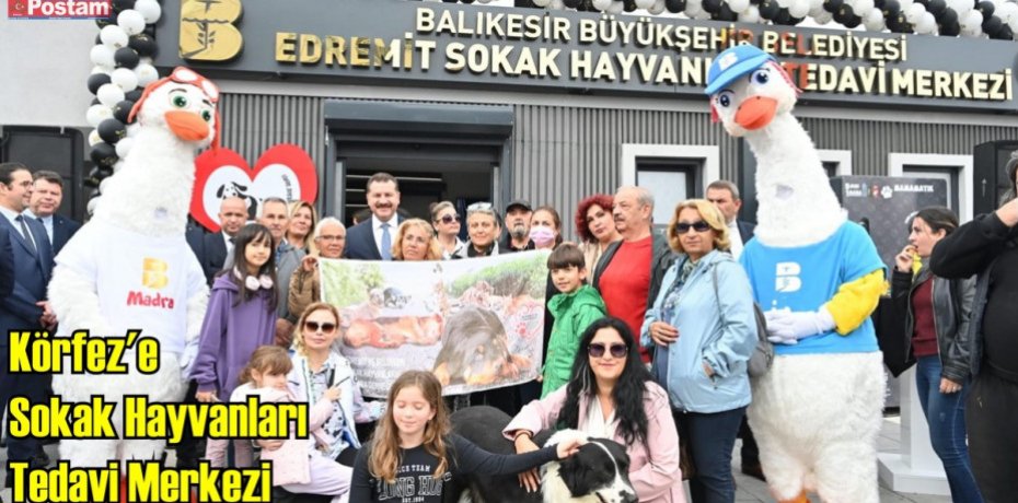 Körfez’e Sokak Hayvanları Tedavi Merkezi