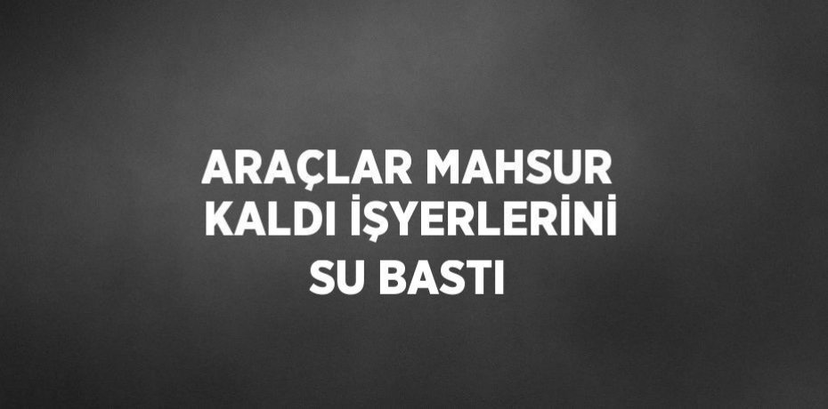 ARAÇLAR MAHSUR KALDI İŞYERLERİNİ SU BASTI