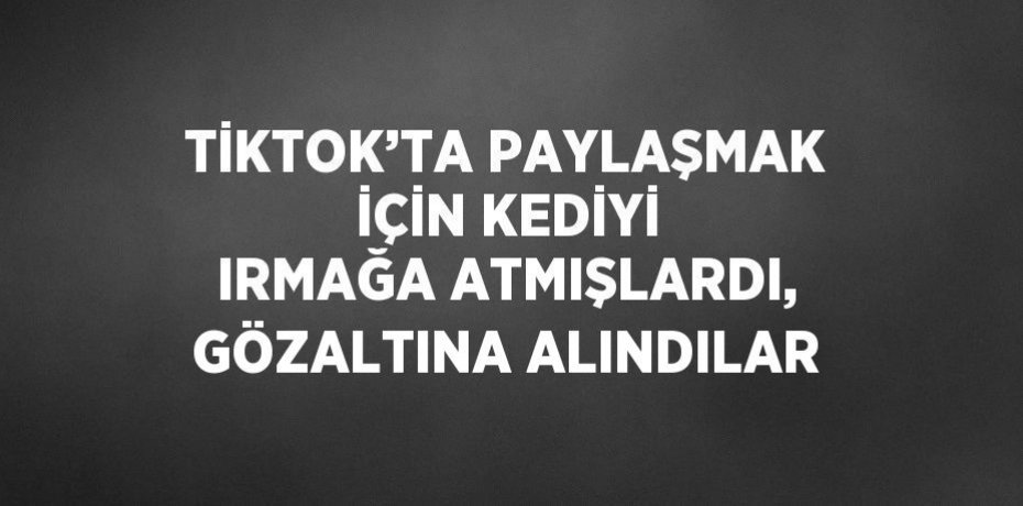 TİKTOK’TA PAYLAŞMAK İÇİN KEDİYİ IRMAĞA ATMIŞLARDI, GÖZALTINA ALINDILAR