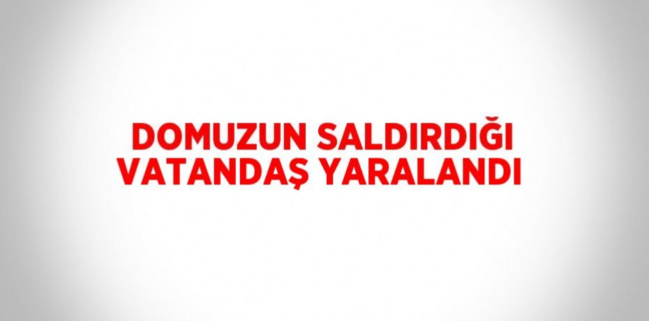 DOMUZUN SALDIRDIĞI VATANDAŞ YARALANDI
