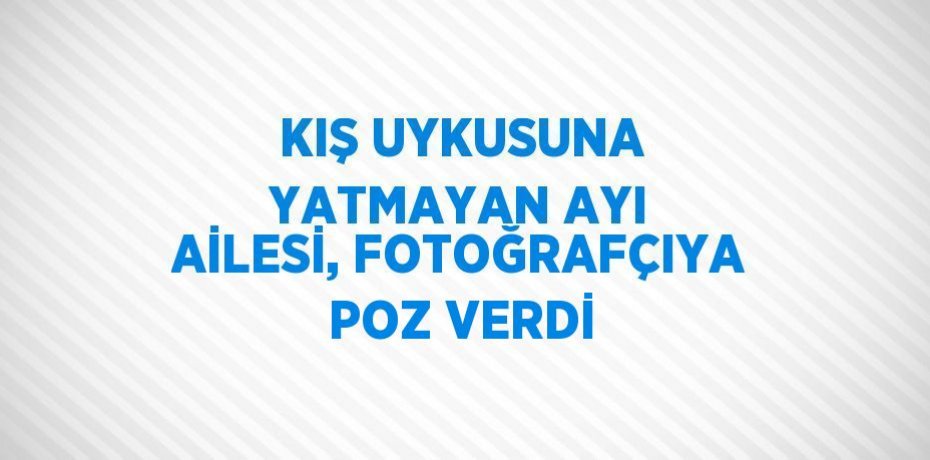 KIŞ UYKUSUNA YATMAYAN AYI AİLESİ, FOTOĞRAFÇIYA POZ VERDİ