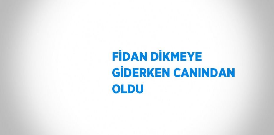 FİDAN DİKMEYE GİDERKEN CANINDAN OLDU