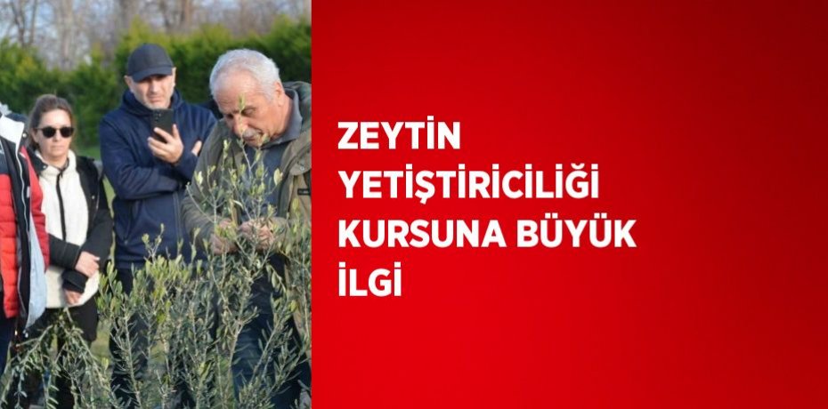 ZEYTİN YETİŞTİRİCİLİĞİ KURSUNA BÜYÜK İLGİ