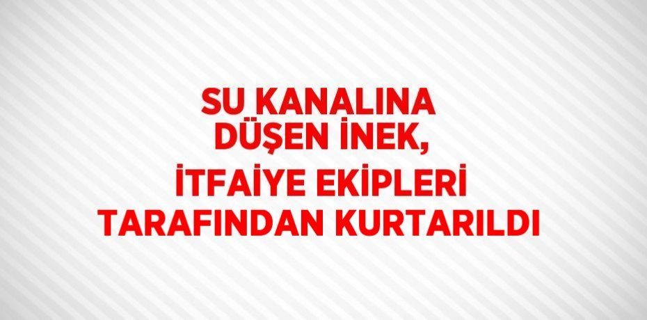 SU KANALINA DÜŞEN İNEK, İTFAİYE EKİPLERİ TARAFINDAN KURTARILDI