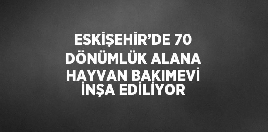 ESKİŞEHİR’DE 70 DÖNÜMLÜK ALANA HAYVAN BAKIMEVİ İNŞA EDİLİYOR