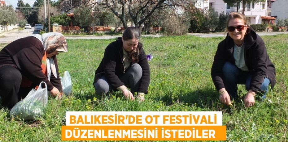 Balıkesir’de ot festivali düzenlenmesini istediler  