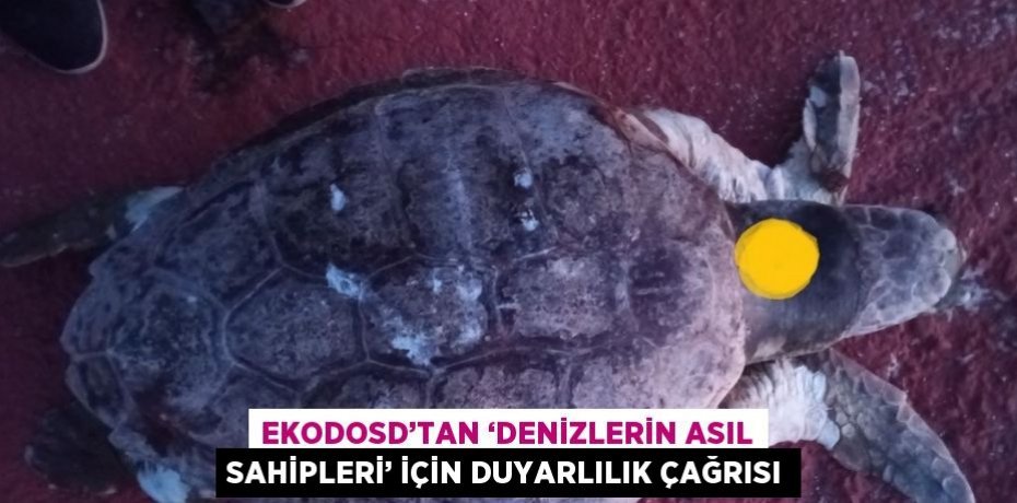 EKODOSD’TAN ‘DENİZLERİN ASIL SAHİPLERİ’ İÇİN DUYARLILIK ÇAĞRISI