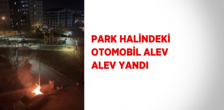 PARK HALİNDEKİ OTOMOBİL ALEV ALEV YANDI