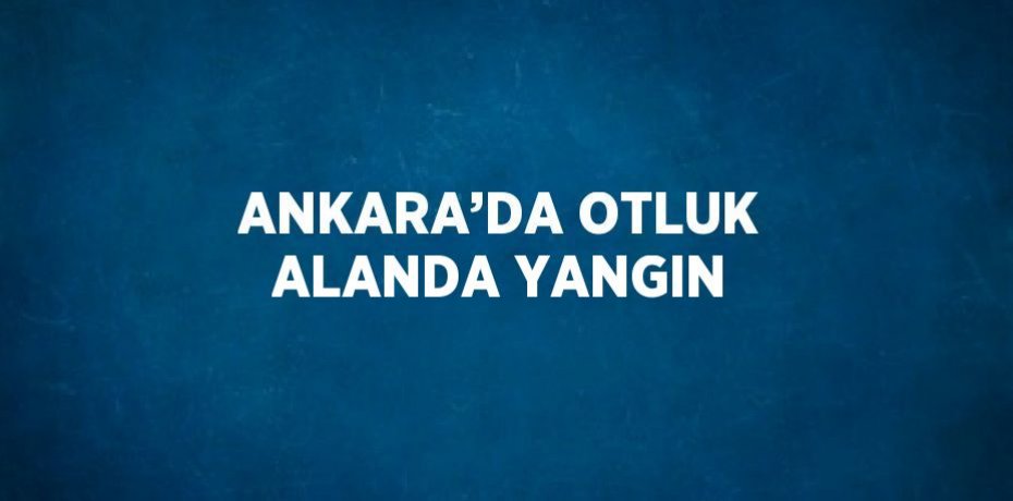 ANKARA’DA OTLUK ALANDA YANGIN