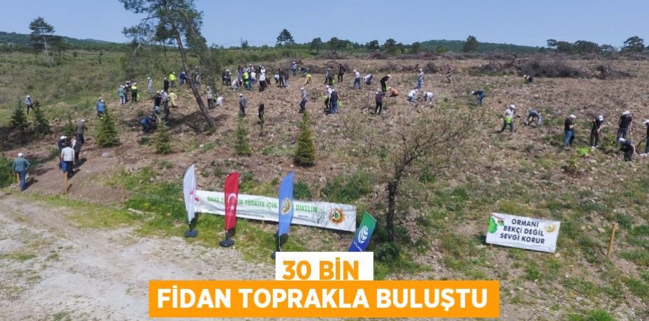30 bin fidan toprakla buluştu