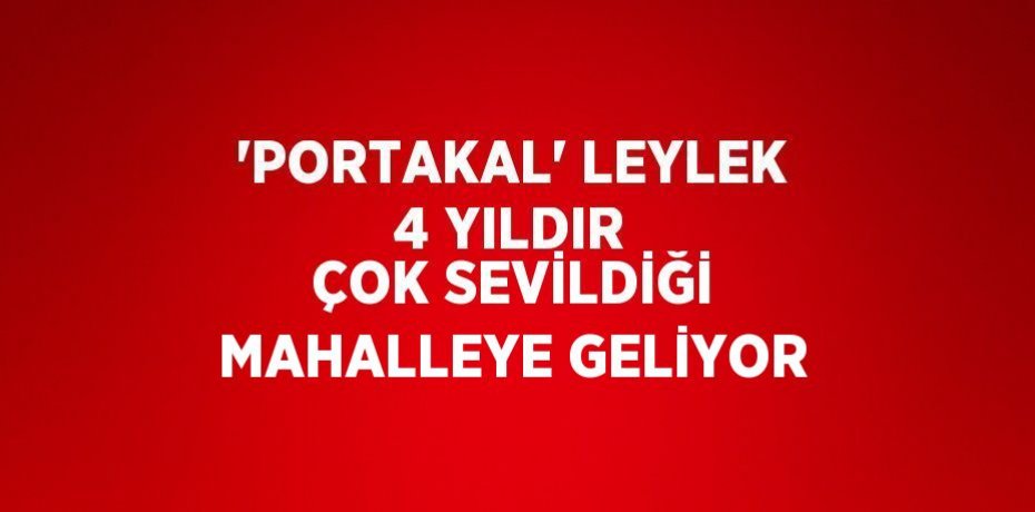 'PORTAKAL' LEYLEK 4 YILDIR ÇOK SEVİLDİĞİ MAHALLEYE GELİYOR
