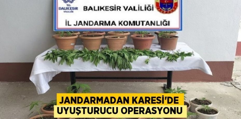 Jandarmadan Karesi'de uyuşturucu operasyonu