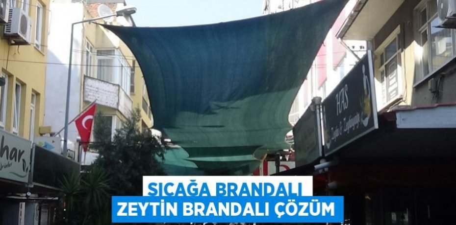 SICAĞA BRANDALI ZEYTİN BRANDALI ÇÖZÜM