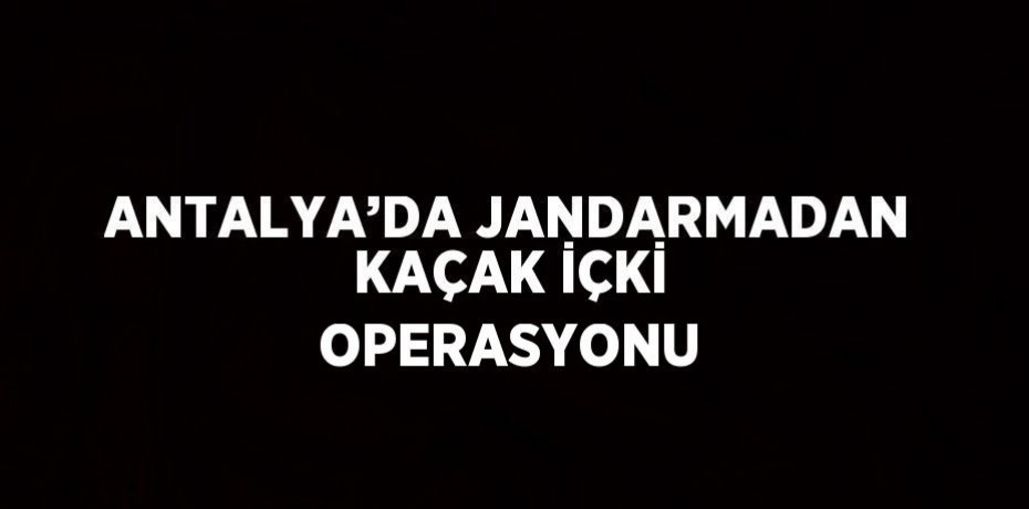 ANTALYA’DA JANDARMADAN KAÇAK İÇKİ OPERASYONU