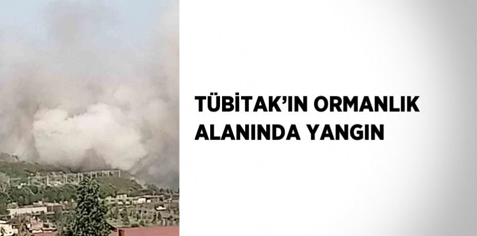 TÜBİTAK’IN ORMANLIK ALANINDA YANGIN