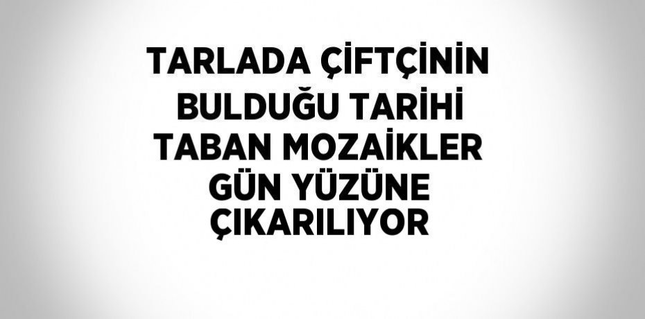 TARLADA ÇİFTÇİNİN BULDUĞU TARİHİ TABAN MOZAİKLER GÜN YÜZÜNE ÇIKARILIYOR