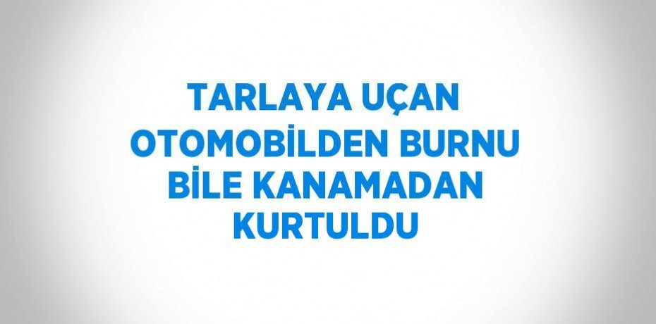 TARLAYA UÇAN OTOMOBİLDEN BURNU BİLE KANAMADAN KURTULDU