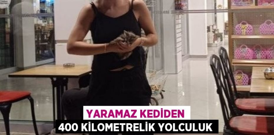 YARAMAZ KEDİDEN 400 KİLOMETRELİK YOLCULUK