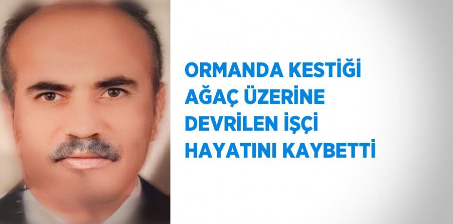 ORMANDA KESTİĞİ AĞAÇ ÜZERİNE DEVRİLEN İŞÇİ HAYATINI KAYBETTİ