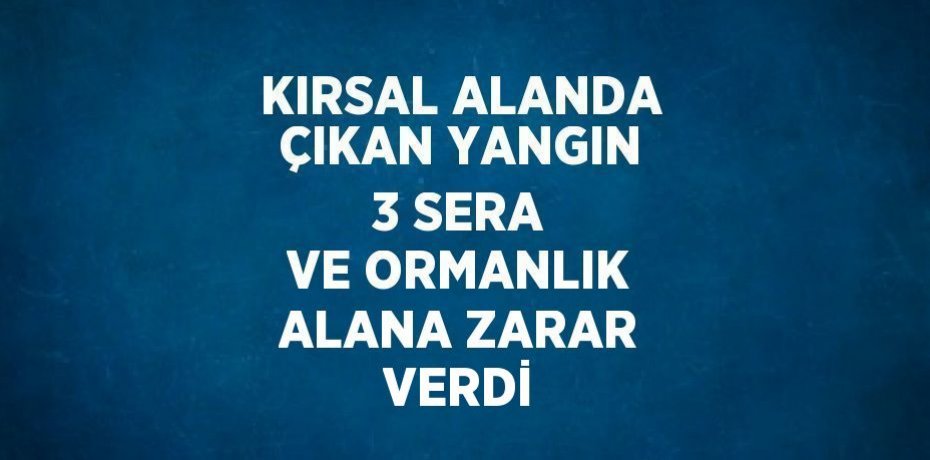 KIRSAL ALANDA ÇIKAN YANGIN 3 SERA VE ORMANLIK ALANA ZARAR VERDİ
