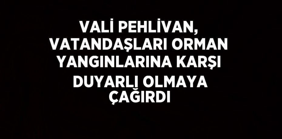 VALİ PEHLİVAN, VATANDAŞLARI ORMAN YANGINLARINA KARŞI DUYARLI OLMAYA ÇAĞIRDI