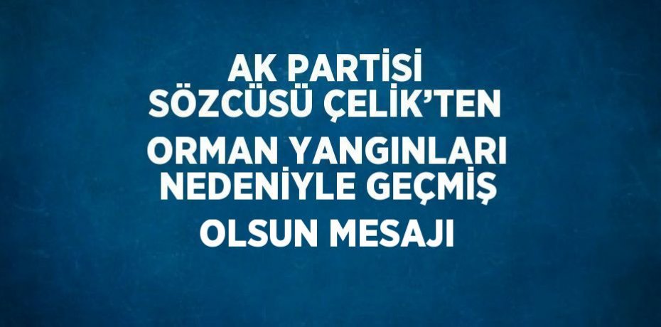 AK PARTİSİ SÖZCÜSÜ ÇELİK’TEN ORMAN YANGINLARI NEDENİYLE GEÇMİŞ OLSUN MESAJI