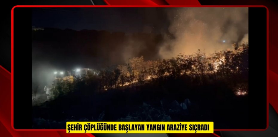 Şehir çöplüğünde başlayan yangın araziye sıçradı  