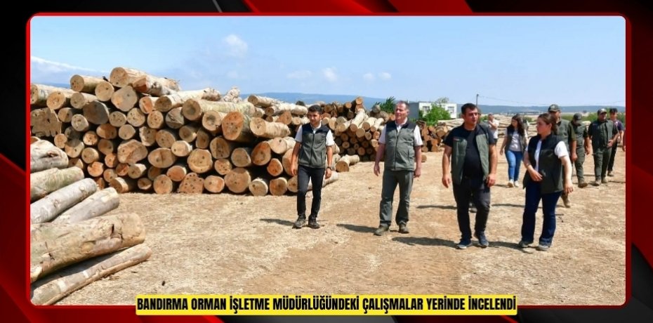 Bandırma Orman İşletme Müdürlüğündeki çalışmalar yerinde incelendi  