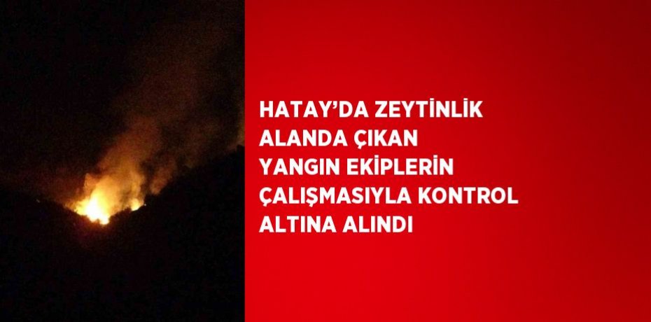 HATAY’DA ZEYTİNLİK ALANDA ÇIKAN YANGIN EKİPLERİN ÇALIŞMASIYLA KONTROL ALTINA ALINDI