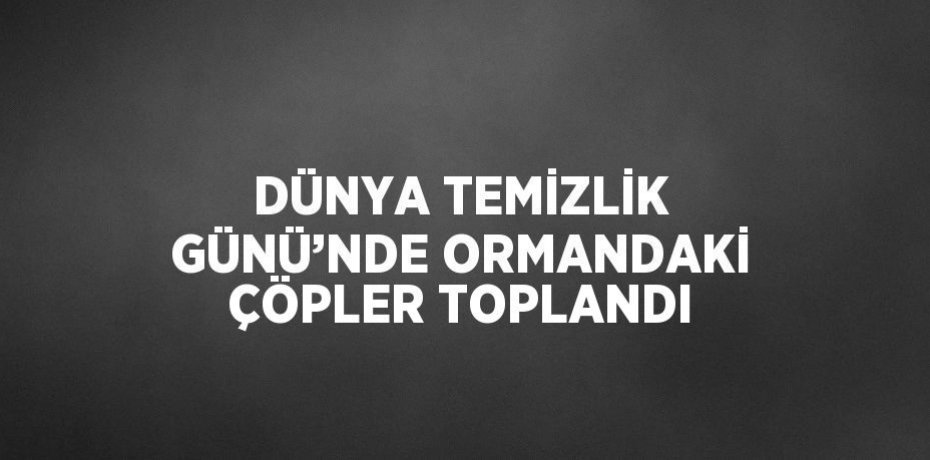 DÜNYA TEMİZLİK GÜNÜ’NDE ORMANDAKİ ÇÖPLER TOPLANDI