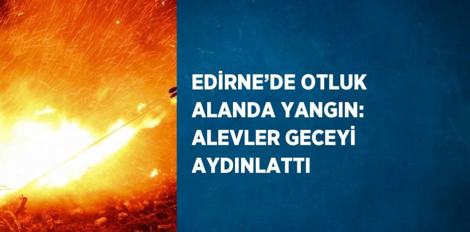 EDİRNE’DE OTLUK ALANDA YANGIN: ALEVLER GECEYİ AYDINLATTI
