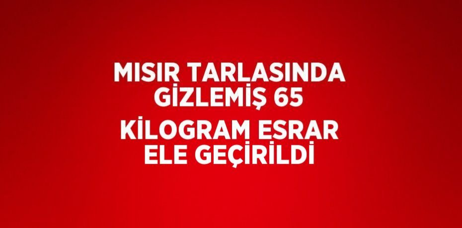 MISIR TARLASINDA GİZLEMİŞ 65 KİLOGRAM ESRAR ELE GEÇİRİLDİ