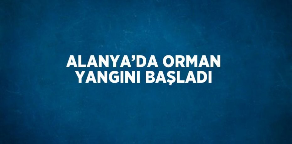 ALANYA’DA ORMAN YANGINI BAŞLADI