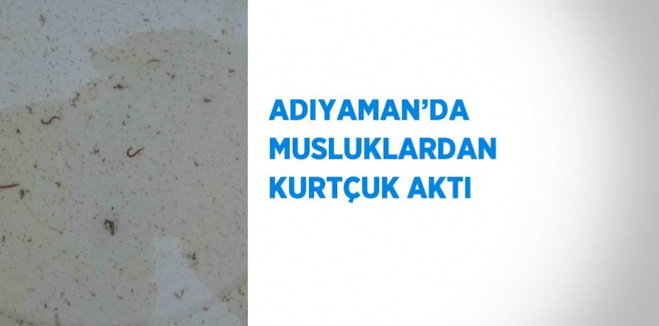ADIYAMAN’DA MUSLUKLARDAN KURTÇUK AKTI