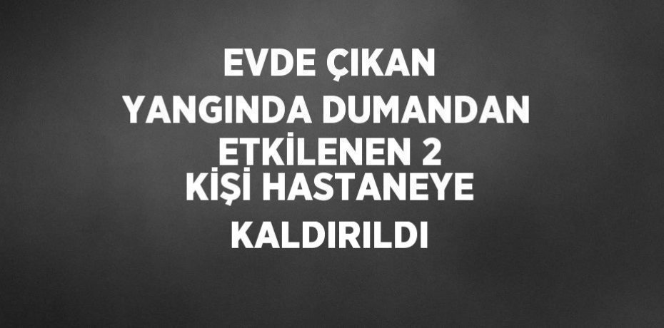 EVDE ÇIKAN YANGINDA DUMANDAN ETKİLENEN 2 KİŞİ HASTANEYE KALDIRILDI