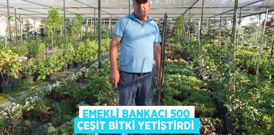 Emekli bankacı 500 çeşit bitki yetiştirdi