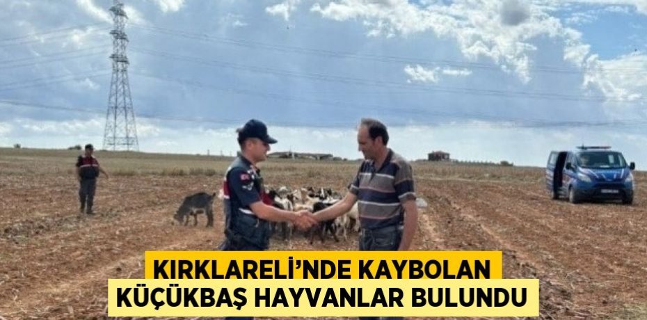 KIRKLARELİ’NDE KAYBOLAN KÜÇÜKBAŞ HAYVANLAR BULUNDU