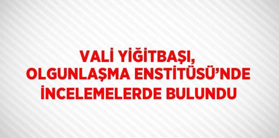 VALİ YİĞİTBAŞI, OLGUNLAŞMA ENSTİTÜSÜ’NDE İNCELEMELERDE BULUNDU