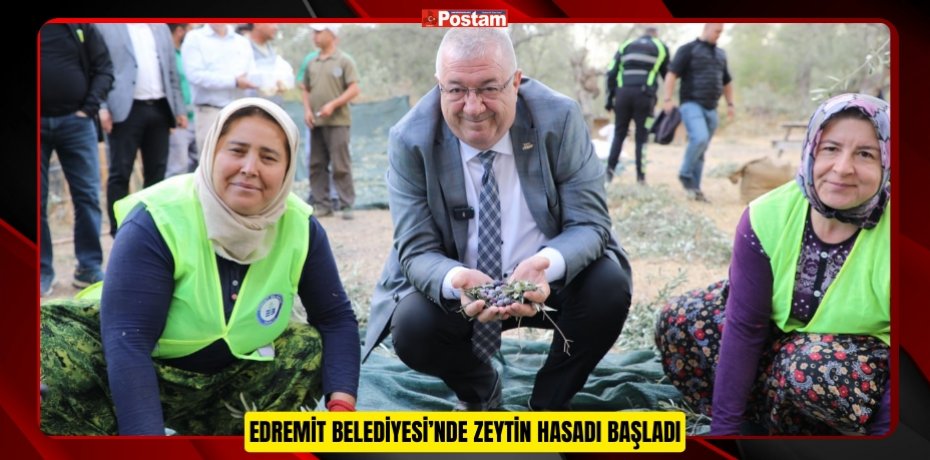 EDREMİT BELEDİYESİ’NDE ZEYTİN HASADI BAŞLADI