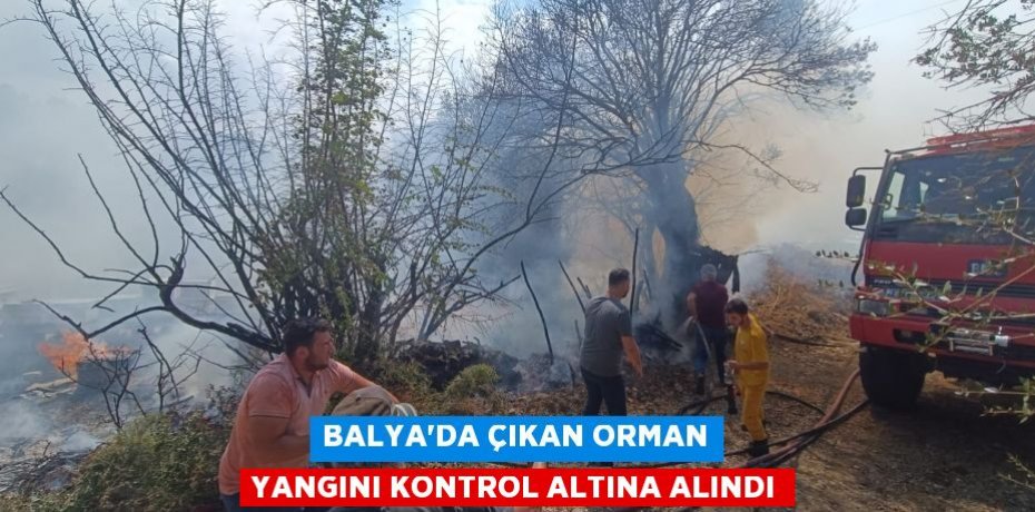 Balya'da çıkan orman yangını kontrol altına alındı