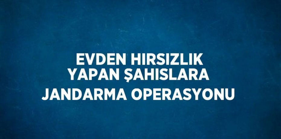EVDEN HIRSIZLIK YAPAN ŞAHISLARA JANDARMA OPERASYONU