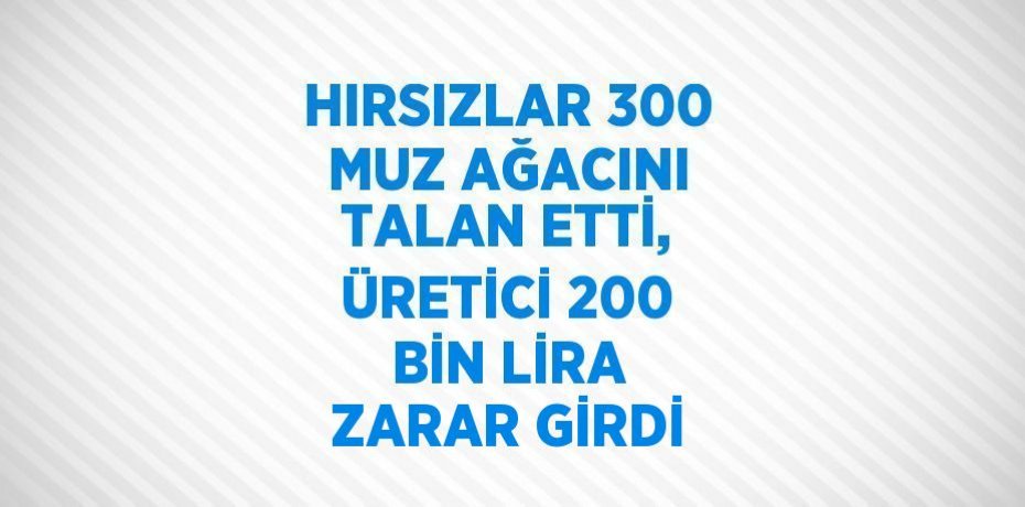 HIRSIZLAR 300 MUZ AĞACINI TALAN ETTİ, ÜRETİCİ 200 BİN LİRA ZARAR GİRDİ