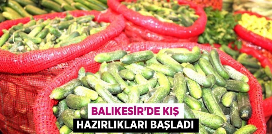 Balıkesir'de kış hazırlıkları başladı