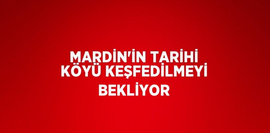 MARDİN’İN TARİHİ KÖYÜ KEŞFEDİLMEYİ BEKLİYOR