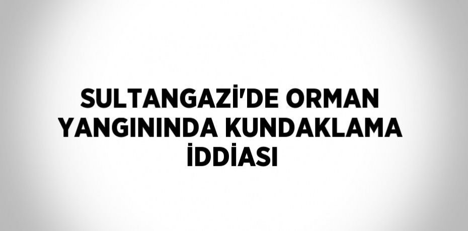 SULTANGAZİ’DE ORMAN YANGININDA KUNDAKLAMA İDDİASI