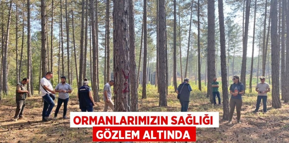 Ormanlarımızın Sağlığı Gözlem Altında