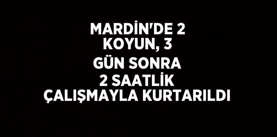 MARDİN’DE 2 KOYUN, 3 GÜN SONRA 2 SAATLİK ÇALIŞMAYLA KURTARILDI